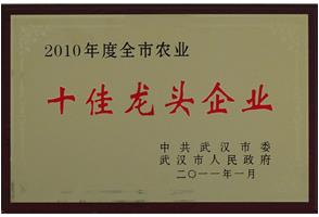 2010年十佳龙头企业